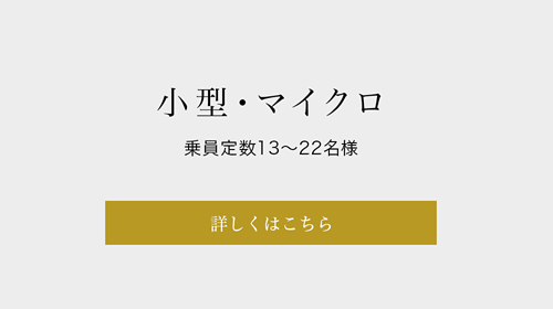 小型・マイクロ